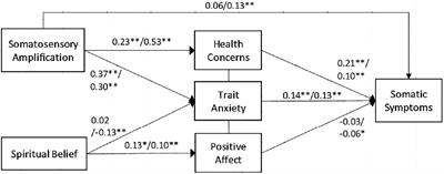 Somatic Symptoms: Association Among Affective State, Subjective Body Perception, and Spiritual Belief in Japan and Indonesia